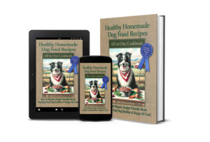 Mock ups of Healthy Homemade Dog Food Recipes on Kindle, phone and hardback 