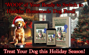 A sample social media ad for Healthy Homemade Dog Food Recipes 