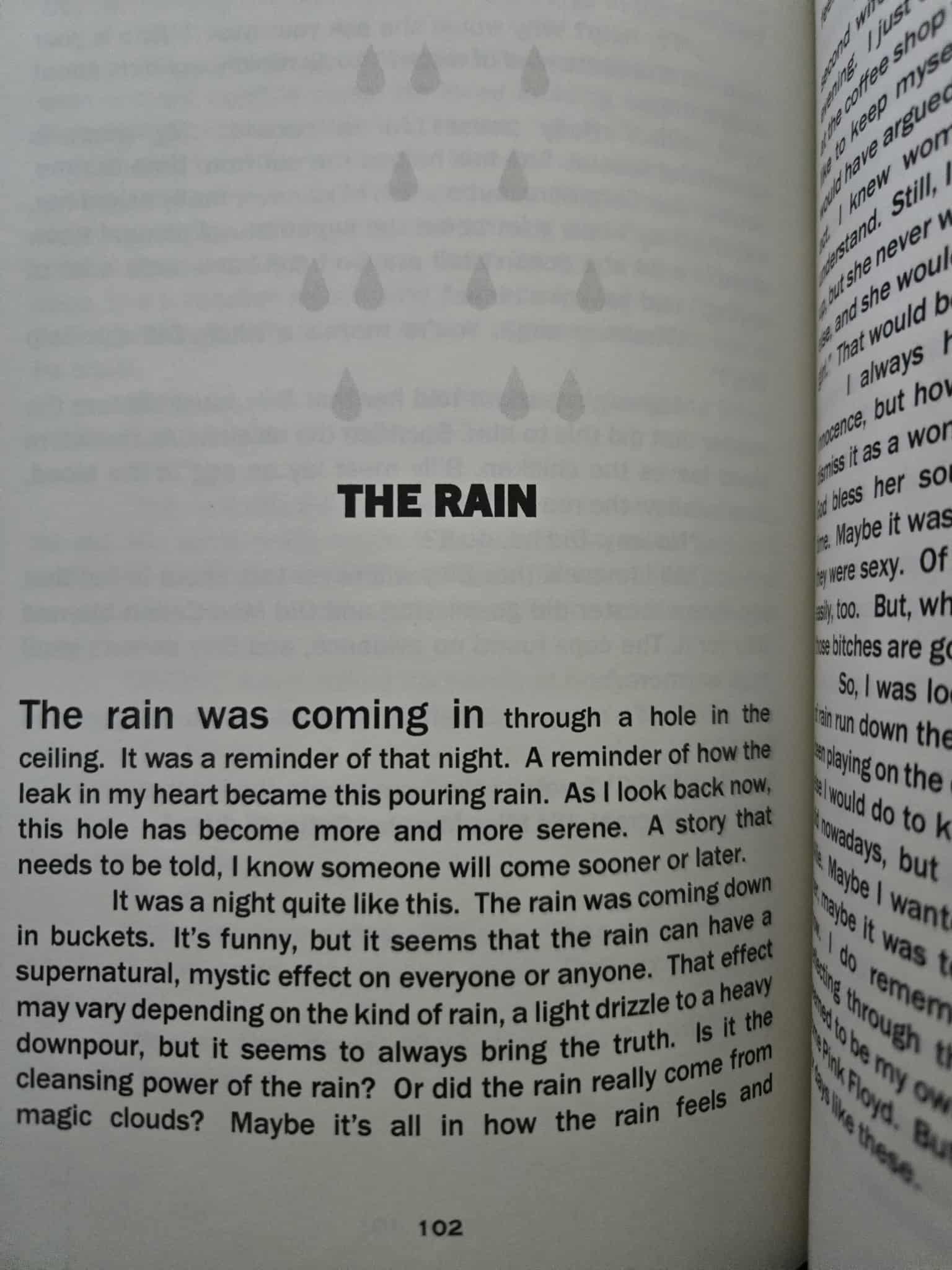 Inside the book