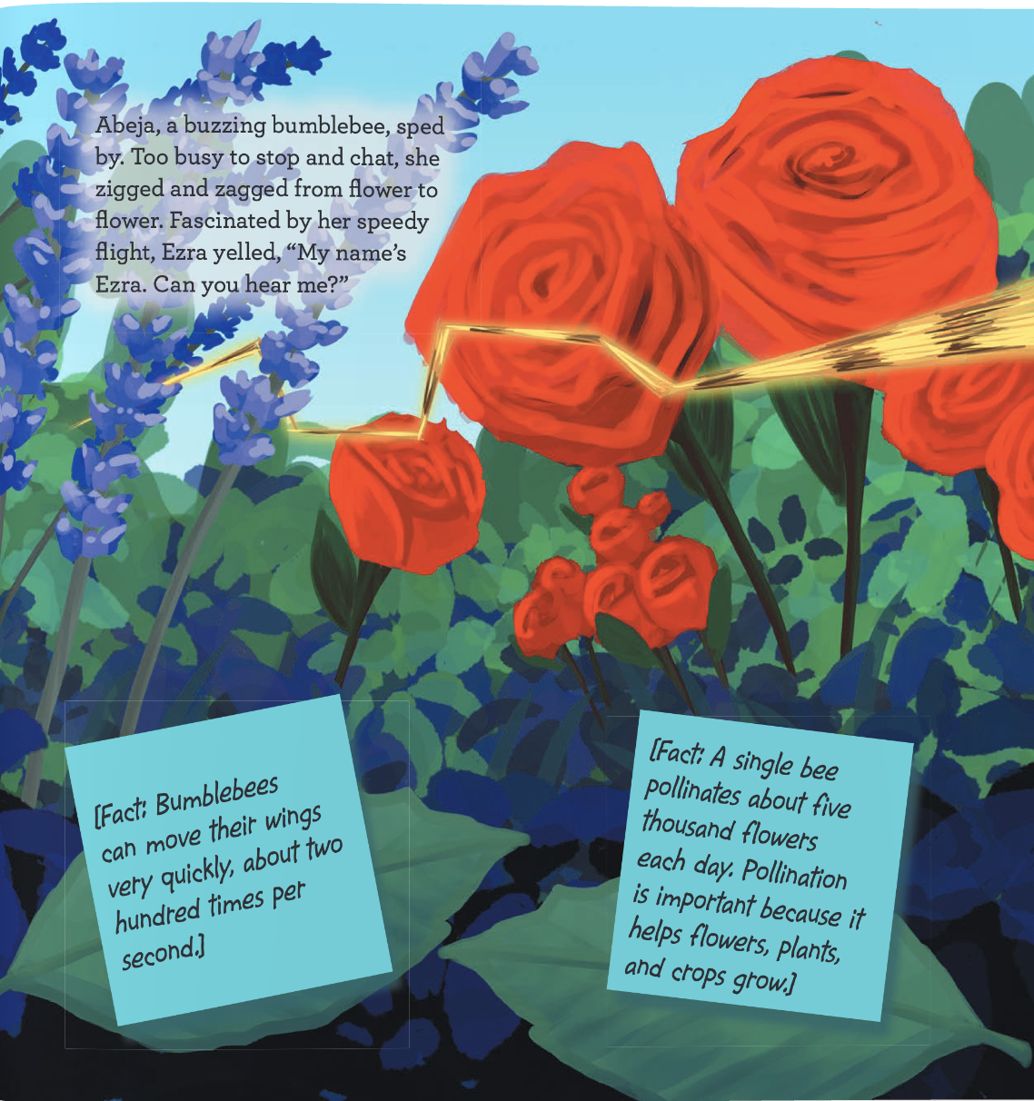 Inside the book